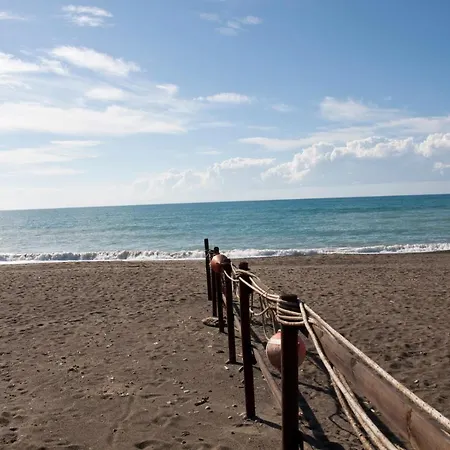 Maremma 4 *